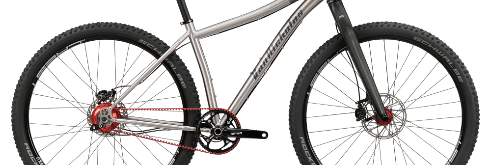van nicholas zion 29er