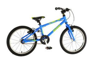img_03-3 18IN BLUE LIME